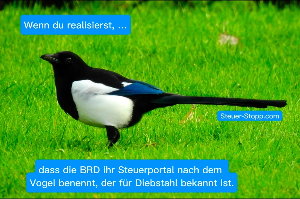 Elster
