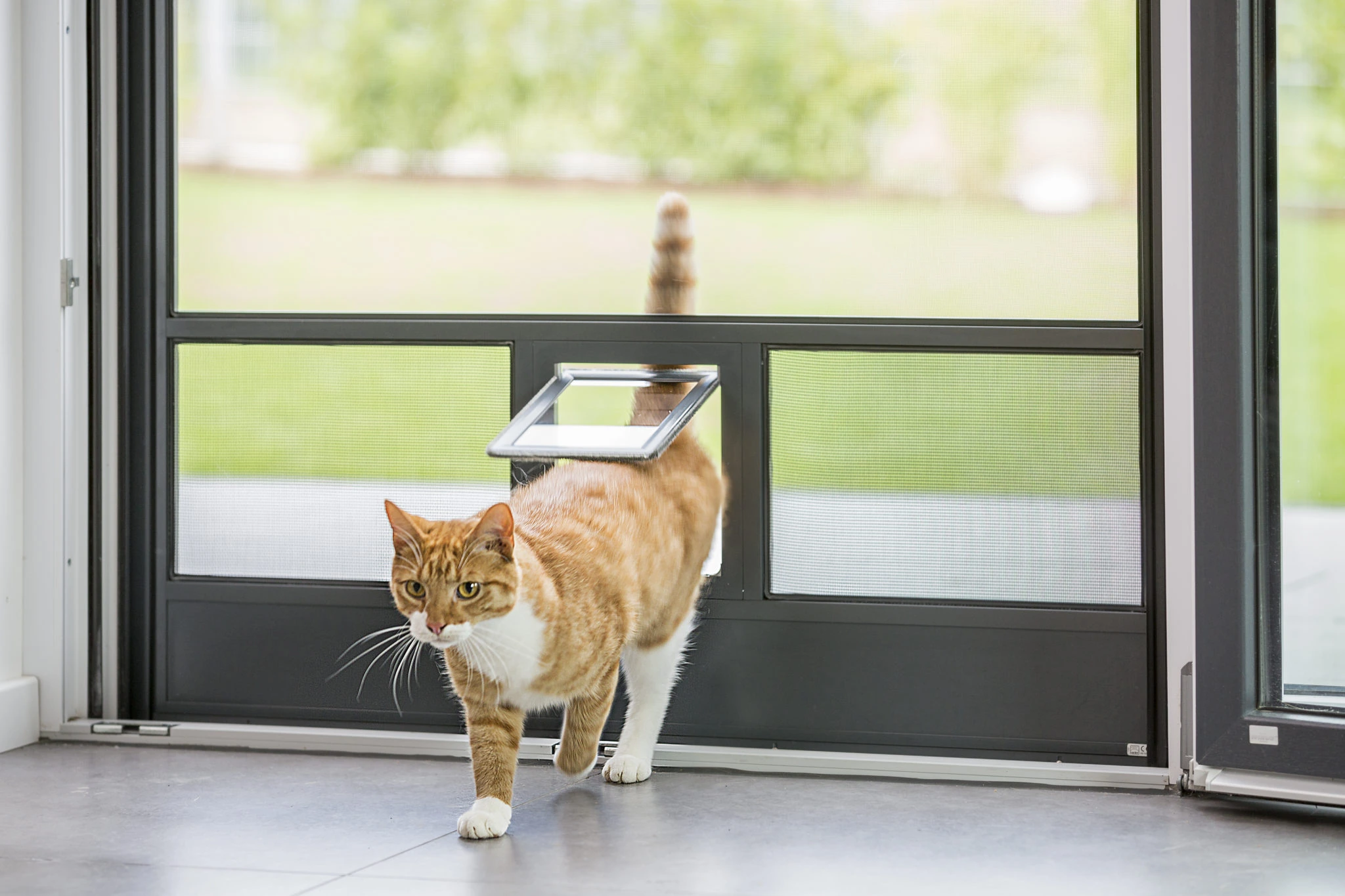 Katzenklappe in Insektenschutztür