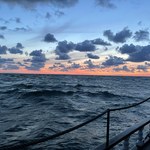 IMG_5382