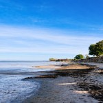 Campingplatz Zierow Weiter Sandstrand bei Ebbe mit ruhigem Meer, blauem Himmel und bewachsener Steilküste im Hintergrund