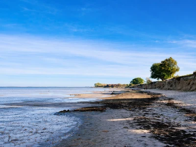 Weiter Sandstrand bei Ebbe mit ruhigem Meer, blauem Himmel und bewachsener Steilküste im Hintergrund