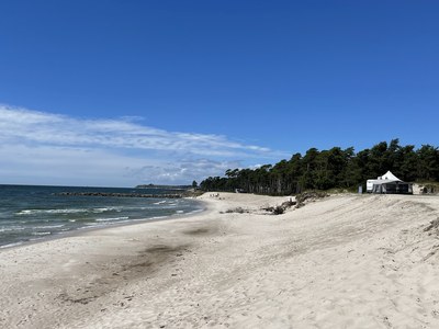 Zu sehen ist ein wunderbarer Strand in Schweden mit blauen Himmel. Schweden Camping 2026 mit Kindern: 14-tägige Wohnmobil-Route durch Dänemark & Südschweden, 10 familienfreundliche Plätze, Natur, Wikinger, Spartipps & PDF.